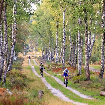 Chalet Op De Veluwe # Linde بوتِنْ المظهر الخارجي الصورة