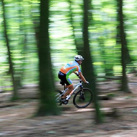Chalet Op De Veluwe # Linde بوتِنْ المظهر الخارجي الصورة