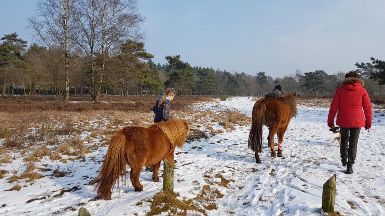 Chalet Op De Veluwe # Linde بوتِنْ المظهر الخارجي الصورة