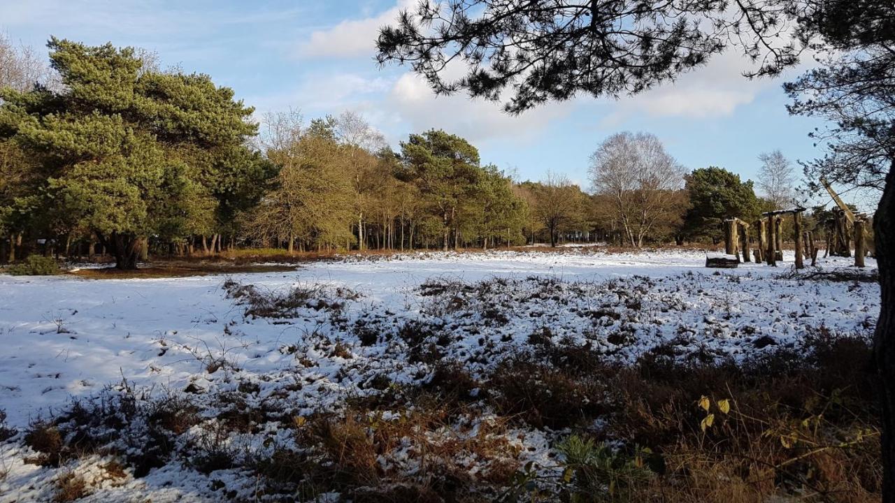 Chalet Op De Veluwe # Linde بوتِنْ المظهر الخارجي الصورة