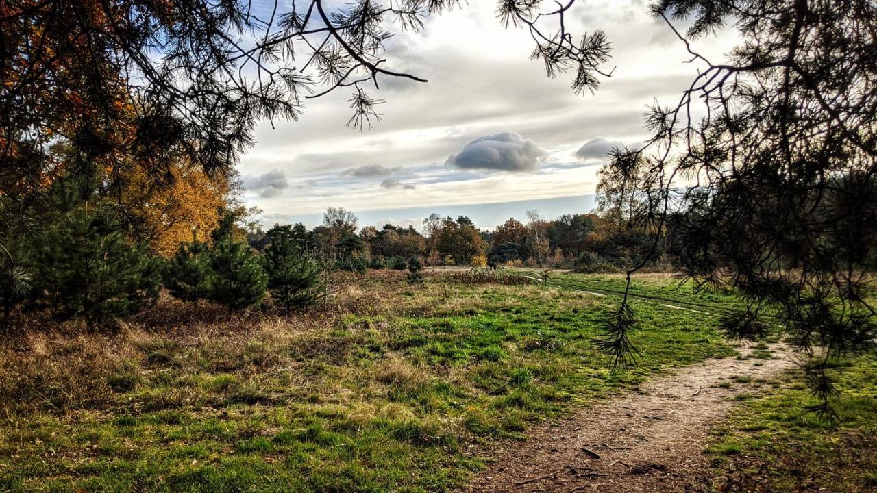 Chalet Op De Veluwe # Linde بوتِنْ المظهر الخارجي الصورة