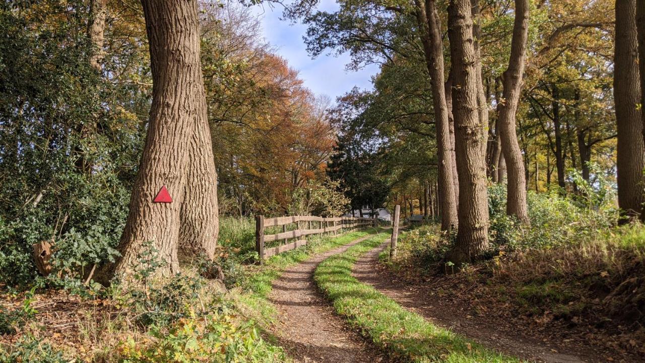Chalet Op De Veluwe # Linde بوتِنْ المظهر الخارجي الصورة