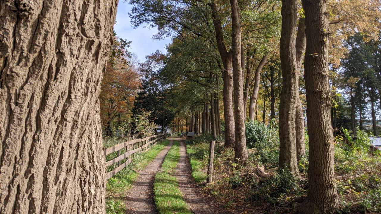 Chalet Op De Veluwe # Linde بوتِنْ المظهر الخارجي الصورة