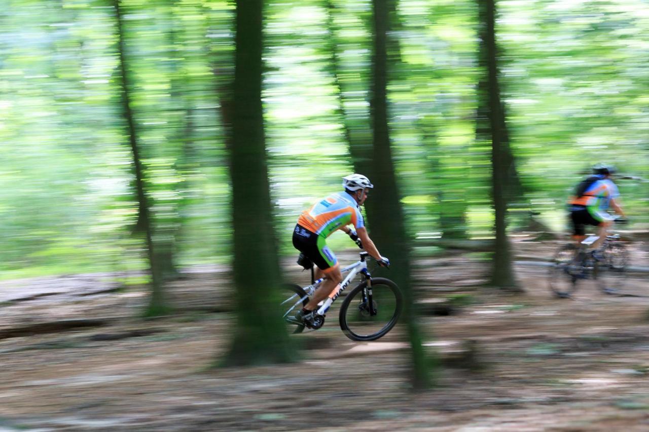 Chalet Op De Veluwe # Linde بوتِنْ المظهر الخارجي الصورة