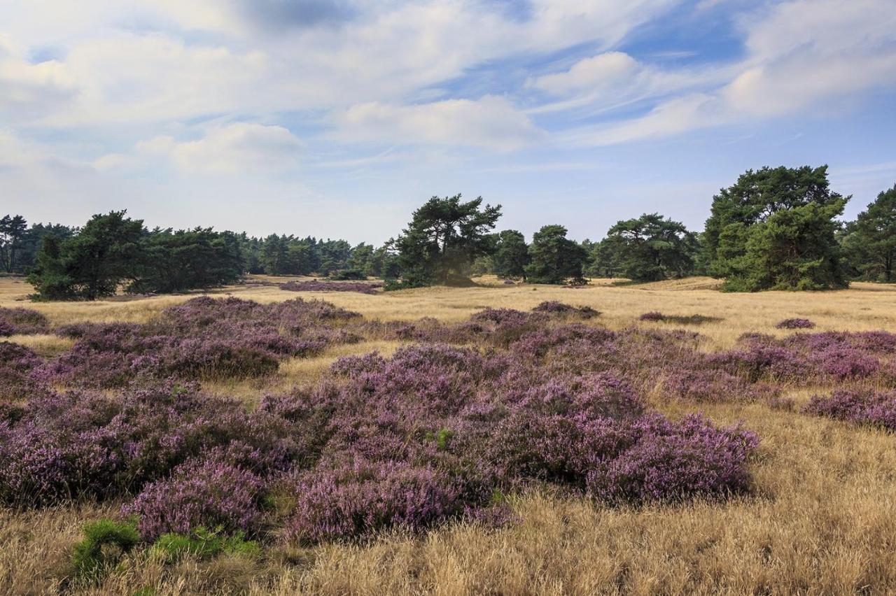 Chalet Op De Veluwe # Linde بوتِنْ المظهر الخارجي الصورة